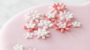 Fondant Flowers